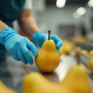 دستگاه سورتینگ گلابی